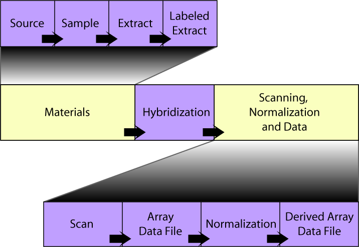 SDRF layout